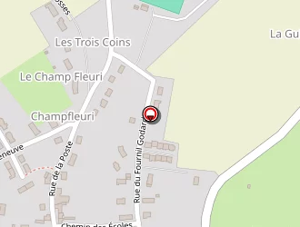 Carte de Bamboo à Nogent-le-bernard