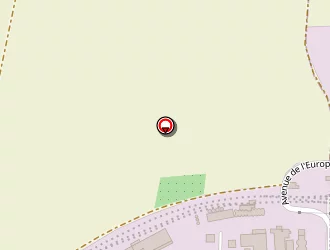 Carte de Renault Michel à Molinons