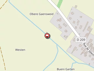 Carte de Archi'bald à Baldenheim