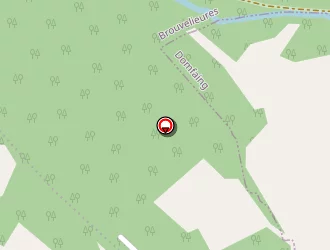 Carte de Berry Denis à Brouvelieures