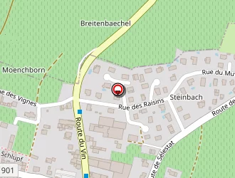 Carte de Rocheteau Katia à Orschwiller