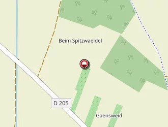 Carte de Trebis René à Baldenheim