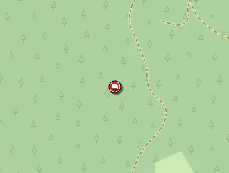 Carte de Petit Christèlle à Taintrux