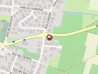 Carte de Oberlé Fabienne à Kintzheim