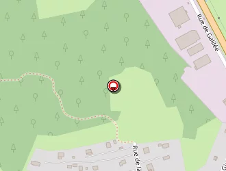 Carte de Goncalves Blandine à Raves