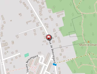 Carte de Pique Mathieu à Nemours