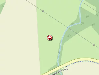 Carte de Circuit Pedestre à Lusigny-sur-barse