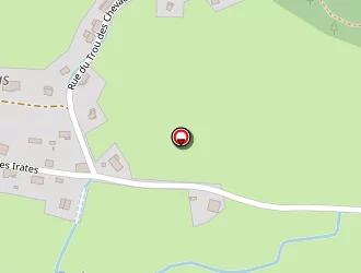 Carte de Schnelzauer Rémi à Wisembach