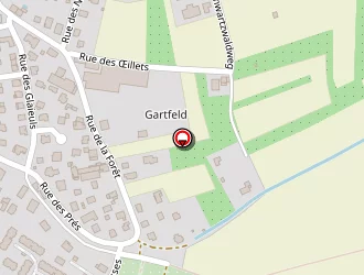 Carte de Zamolo Claude à Sélestat