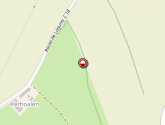 Carte de Fourn Loïc à Rosnoën