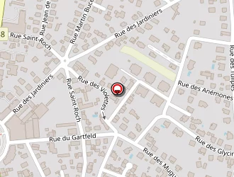 Carte de Schaller Patrick à Sélestat