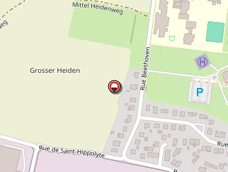 Carte de Gesell Céline à Sélestat