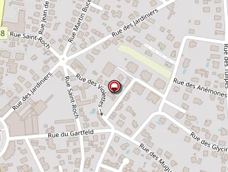 Carte de Bauer Paul à Sélestat