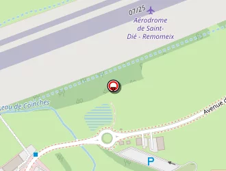 Carte de Voinson Patrick à Remomeix