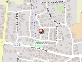 Carte de Pecheux Fabien à Sélestat