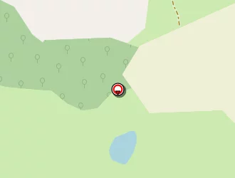 Carte de Earl Des Primevères à Placé