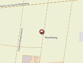 Carte de Studler Michel à Sélestat