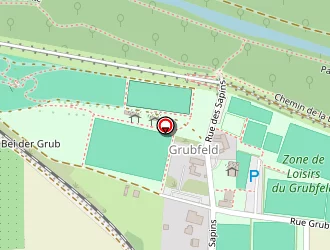 Carte de Schmitt Patrick à Sélestat