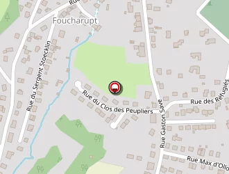 Carte de Da Silva Carlos à Saint-dié-des-vosges