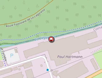 Carte de Mister Bois à Lièpvre