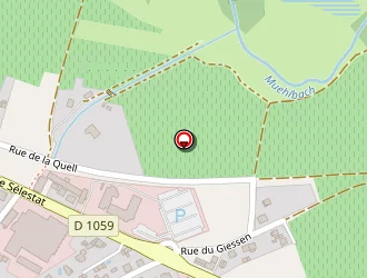 Carte de Legato Fabienne à Châtenois