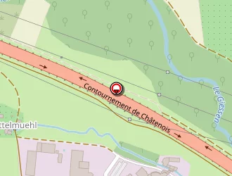 Carte de Dorgler à Châtenois