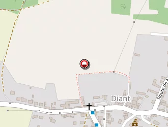 Carte de Urgence (services Locaux) à Diant