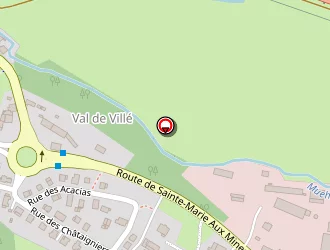 Carte de Ottenwaelder Joseph à Châtenois