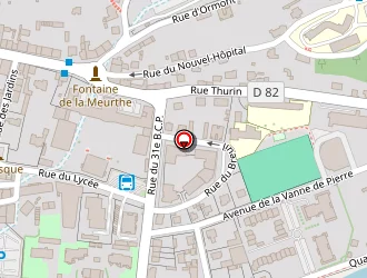 Carte de Max Info Services à Saint-dié-des-vosges