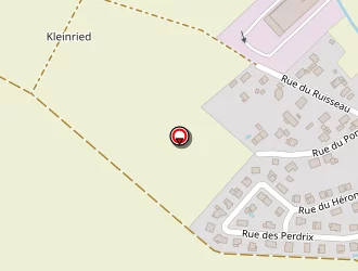 Carte de Braun Stéphane à Hilsenheim