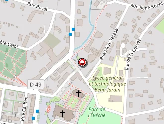 Carte de Fauve à Saint-dié-des-vosges