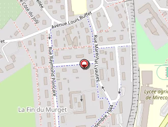 Carte de Total à Mirecourt