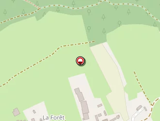 Carte de Salaün Henri à Landévennec