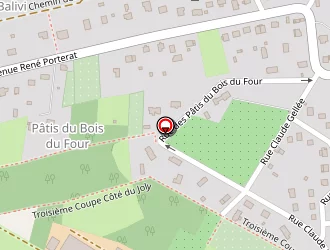 Carte de Methavigne à Mirecourt