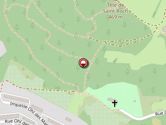 Carte de Simsek Ayfer à Saint-dié-des-vosges