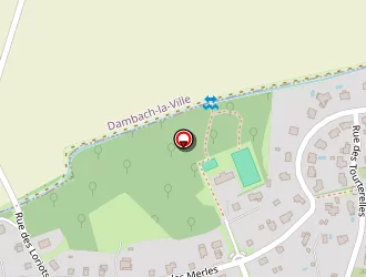 Carte de Grau Bernard à Scherwiller