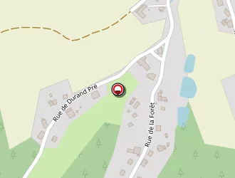 Carte de Codarin Brigitte à Saint-michel-sur-meurthe