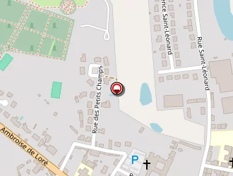 Carte de Boussin Véronique à Mayenne