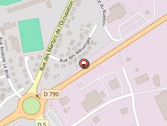 Carte de Le Fur Dominique à Saint-nicolas-du-pélem