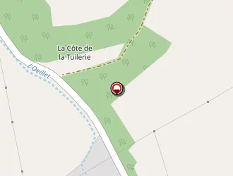 Carte de Mairie à Thors