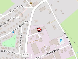 Carte de Dsm à Châtenois