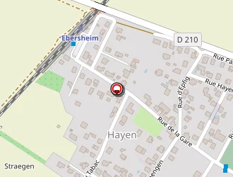 Carte de Schaetzle François à Ebersheim