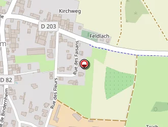 Carte de Braun Jean-pierre à Witternheim