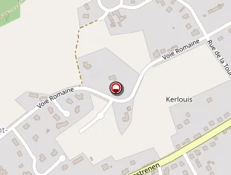 Carte de Michel (ets-sarl) à Saint-nicolas-du-pélem