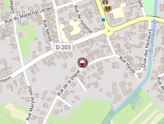 Carte de Turgut Halis à Rhinau