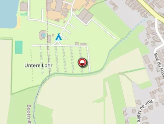 Carte de Sauner Raphaël à Rhinau