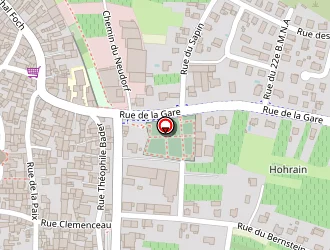 Carte de Ruhlmann Dirringer à Dambach-la-ville