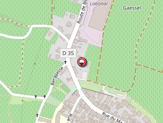 Carte de Schuhler Patrick à Dambach-la-ville