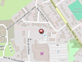 Carte de Lecoq Guillaume & Legrain Sébastien à Tinténiac