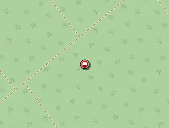 Carte de Musée à Liffol-le-grand